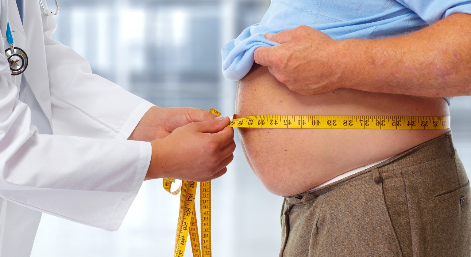 Патогенетические аспекты мужской субфертильности при ожирении: обзор экспериментальных и клинических исследований